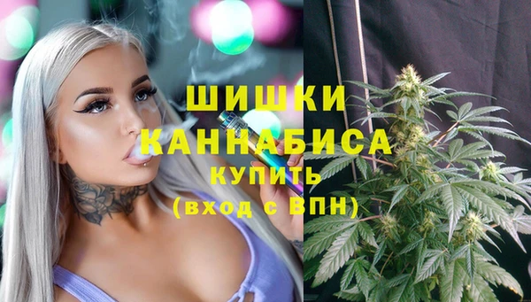 мескалин Ельня