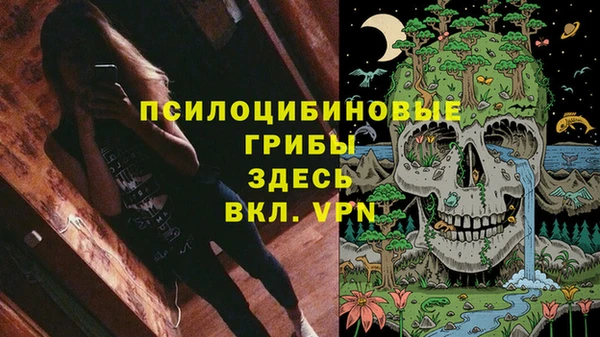 мескалин Ельня