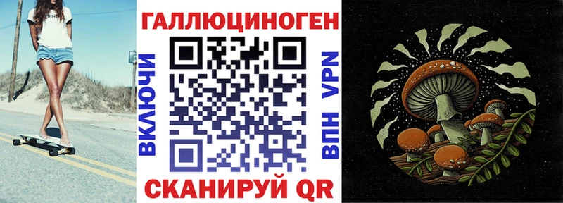 Псилоцибиновые грибы мицелий  как найти наркотики  Инсар 